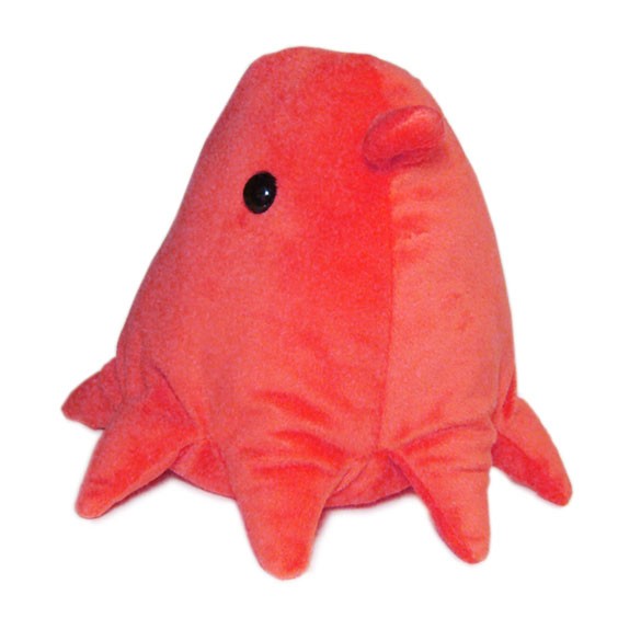 30種 海の生き物 動物 ぬいぐるみ まとめ売り 大量 サメ 魚 メンダコ 楽天市場】サメ ぬいぐるみ ミツクリザメ リアル 動物 深海鮫