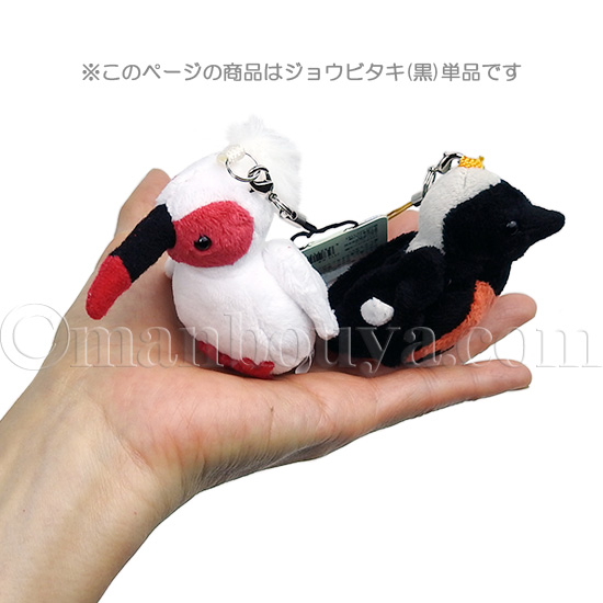 新品未使用 小鳥 ぬいぐるみセット - メルカリ