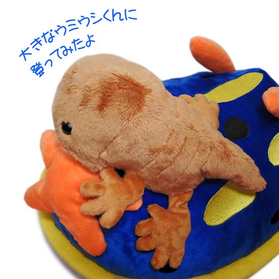 ぬいぐるみ　確認用 Amazon.co.jp: KOSEN☆ケーセン社☆ぬいぐるみ☆ワモンアザラシ