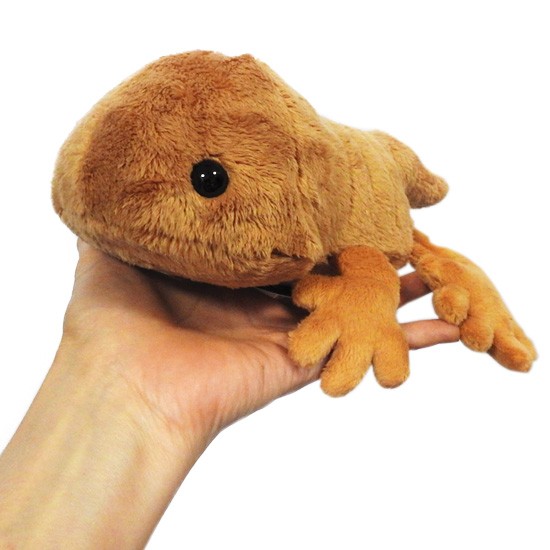 専用♡ ぬいぐるみまとめ売り 知れば知るほどハマる【大人のぬいぐるみ沼】って？ 5人の作り手に