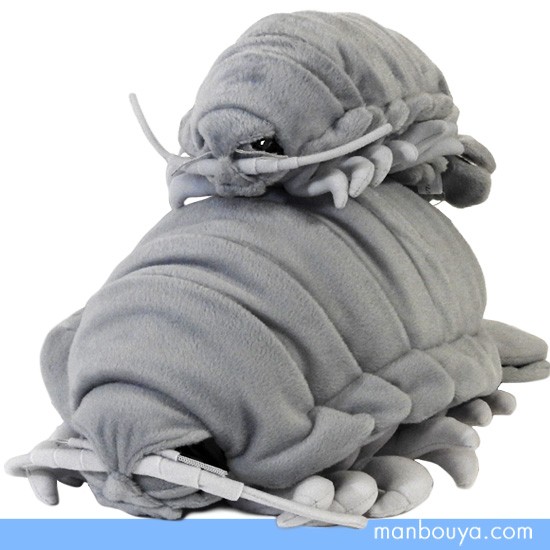 深海生物ぬいぐるみ ダイオウグソクムシ パペット ぬいぐるみ  全長25cm Amazon.co.jp: 三英貿易 深海魚ぬいぐるみ ダイオウグソクムシ