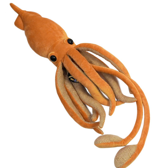 深海生物ダイオウイカぬいぐるみ as-7430b_2.jpg