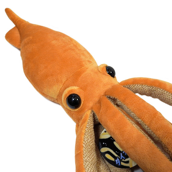 深海生物ダイオウイカぬいぐるみ as-7430b_3.jpg