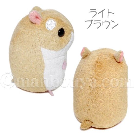 eyecatch_kirara.png