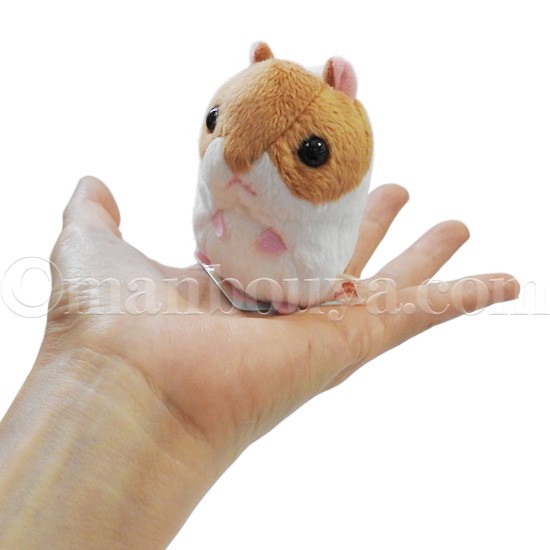 ハムスターグッズ^＿^ 楽天市場】WiTH PET ハムスター グッズ 雑貨 ハムスター 雑貨
