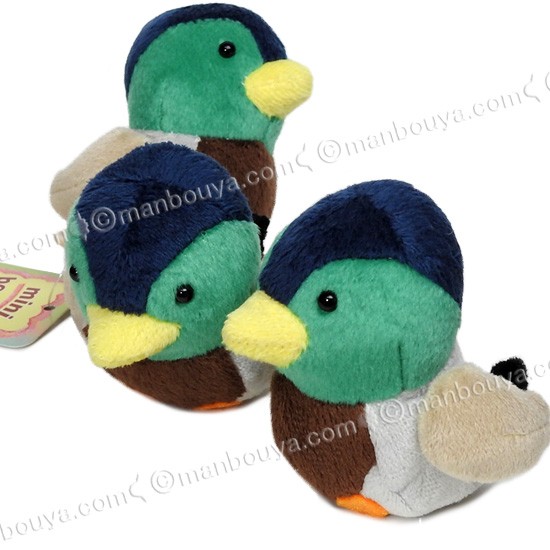 カモ ぬいぐるみ 小鳥 雑貨 A-SHOW ミニビーンズ マガモ 7cm メール便