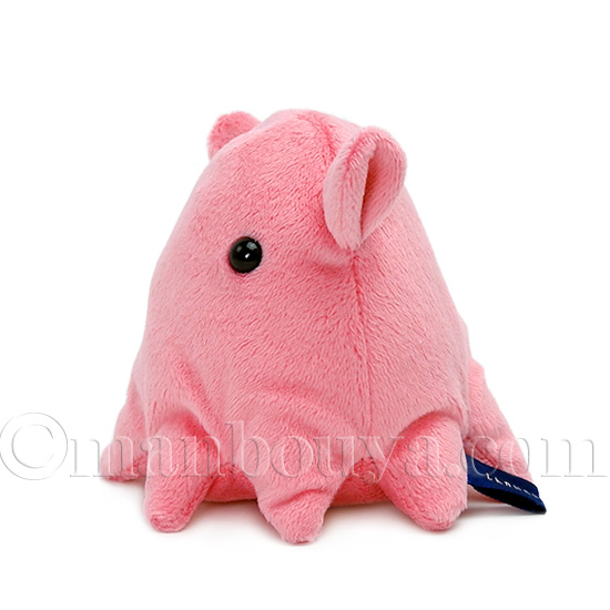 メンダコくじ　コンプリート　ぬいぐるみ Amazon.co.jp: 2等3等 江ノ島水族館限定 メンダコくじぬい えの