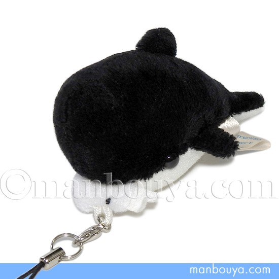 as-7858.jpg