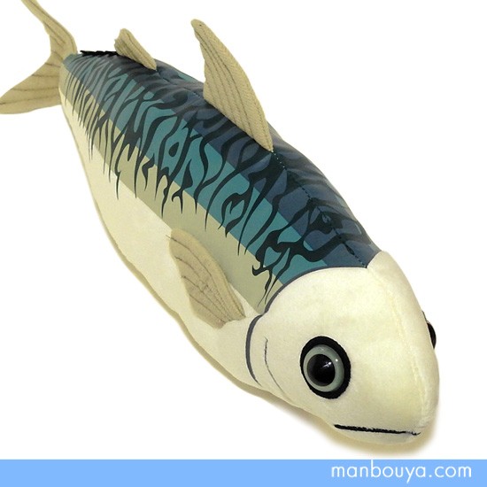 小魚家族パパ 様★専用 完売致しました 2023.1.21 墨朱文金 31cm オス 明け4歳