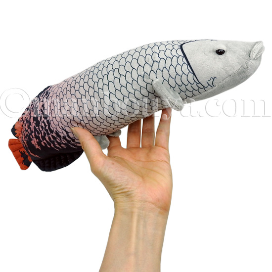 ピラルクー ぬいぐるみ 古代魚 A-SHOW 栄商 わくわく図鑑