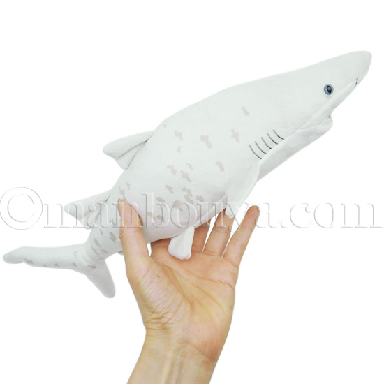 サメ ぬいぐるみ 鮫 水族館 グッズ A-SHOW わくわく図鑑 シロワニ 36cm