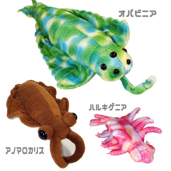 10%OFF 古代の海洋生物 ぬいぐるみ グッズ A-SHOW カンブリア紀