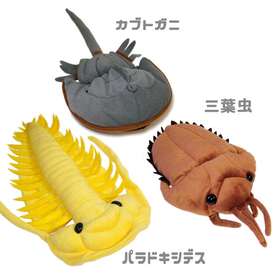 10%OFF 古代の海洋生物 ぬいぐるみ グッズ A-SHOW カンブリア紀 人気者