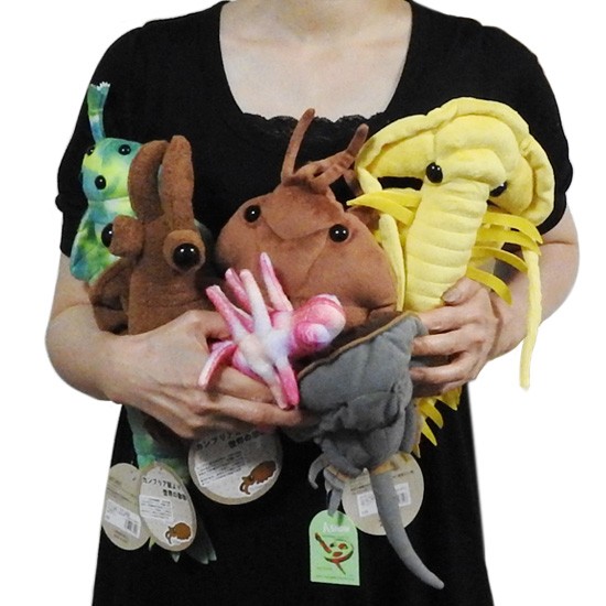 10%OFF 古代の海洋生物 ぬいぐるみ グッズ A-SHOW カンブリア紀