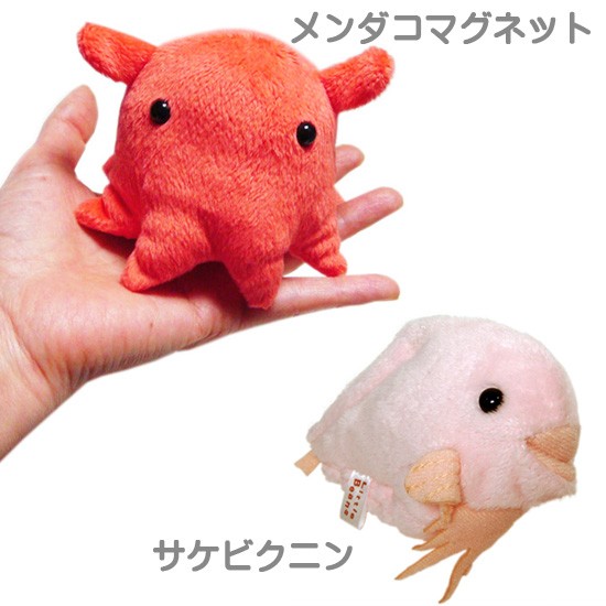 深海魚ぬいぐるみ5体セット 深海魚のぬいぐるみ セットA-SHOW メンダコ リュウグウノツカイ