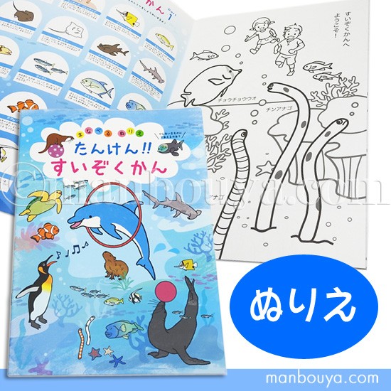 塗り絵 水族館 お土産 図鑑 ぬりえ 海の動物 たんけん すいぞくかん メール便発送可 : ck-105375 :  まんぼう屋ドットコム-Yahoo!店 - 通販 - Yahoo!ショッピング