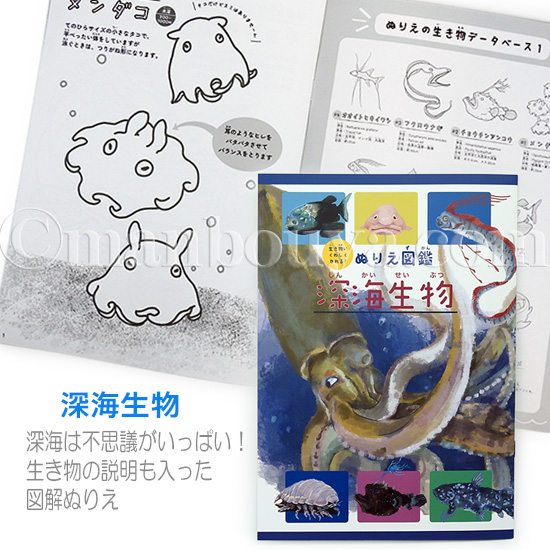 セイカのぬりえ うみのおともだち マミムメマリン MOTOKO FUJITA Amazon.co.jp: ザ・アクセス ぬりえ 海柄 ぬりえバック 海の