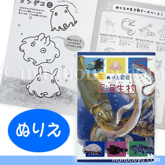 深海魚 グッズ 塗り絵 子供 ぬりえ 海の生き物 水族館 お土産 ぬりえ図鑑 深海生物 メール便発送可 : ck-126691 :  まんぼう屋ドットコム-Yahoo!店 - 通販 - Yahoo!ショッピング