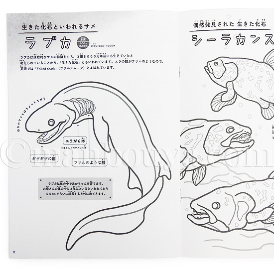 深海魚 グッズ 塗り絵 子供 ぬりえ 海の生き物 水族館 お土産 ぬりえ図鑑 深海生物 メール便発送可 : ck-126691 :  まんぼう屋ドットコム-Yahoo!店 - 通販 - Yahoo!ショッピング