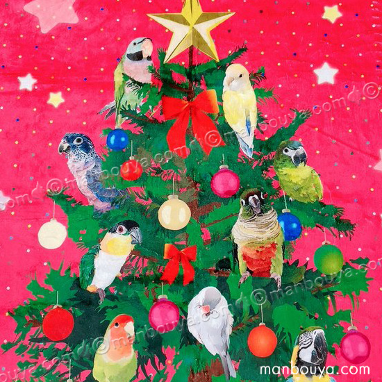 クリスマスプレゼント インコ グッズ 小鳥 ブランケット ひざ掛け