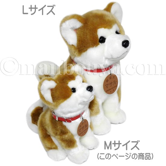 秋田犬 マサル ぬいぐるみ キュート販売 CUTE あきたいぬ 座り M 25cm