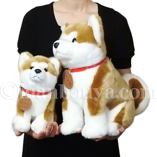 秋田犬　マサル　ぬいぐるみ　セット 秋田犬 ぬいぐるみ 立ちマサル M 贈り物 お取り寄せ ギフト 故郷