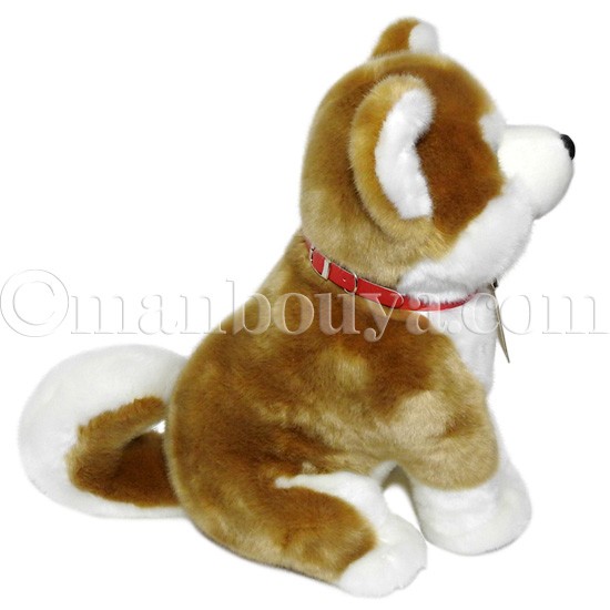 秋田犬 マサル ぬいぐるみ キュート販売 CUTE あきたいぬ 座り L 35cm