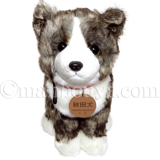 秋田犬 ぬいぐるみ 虎毛 保存会 キュート販売 CUTE 座りポーズ Lサイズ