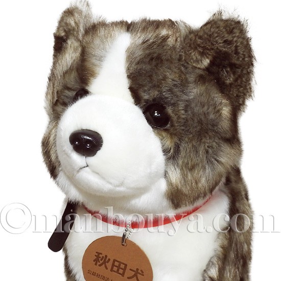秋田犬 ぬいぐるみ 虎毛 保存会 キュート販売 CUTE 座りポーズ Lサイズ