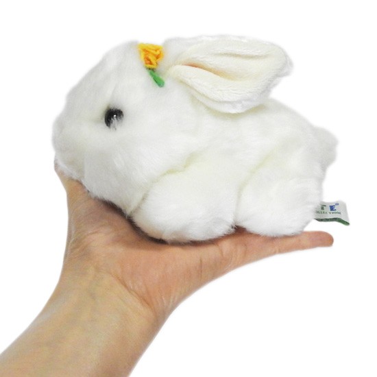 IU アイユー  トッキユ うさぎU ぬいぐるみ 20cm 511lXjD-adL._UF894,1000_QL80_.jpg