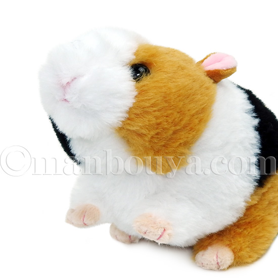 モルモット ぬいぐるみ ネズミ ふわふわ キュート販売 CUTE