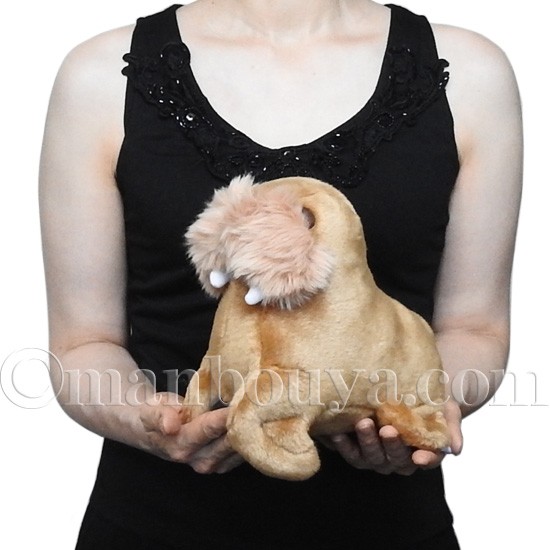 セイウチ ぬいぐるみ 水族館グッズ キュート販売 CUTE 海象 20cm