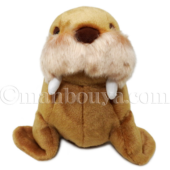 セイウチ ぬいぐるみ 水族館グッズ キュート販売 CUTE 海象 M 30cm