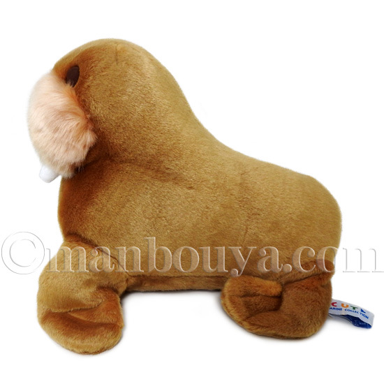セイウチ ぬいぐるみ 水族館グッズ キュート販売 CUTE 海象 M 30cm
