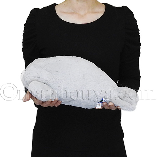 アザラシ ぬいぐるみ 水族館 お土産 キュート販売 CUTE ふわふわ