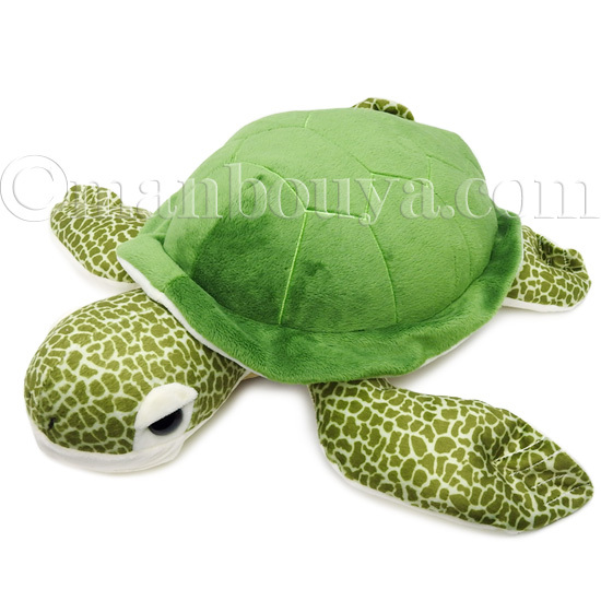 Amazon.co.jp: ウミガメ リクガメ カメグッズ 8点セット : Toys