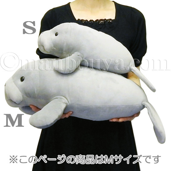 マナティー ぬいぐるみ 水族館グッズ キュート販売 CUTE マナティ