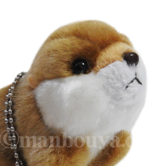 ぬいぐるみ カワウソ かわいい 動物 キュート販売 cute