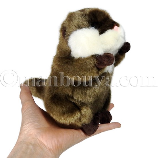 コツメカワウソ ぬいぐるみ 動物園 キュート販売 CUTE おねだり S 17cm