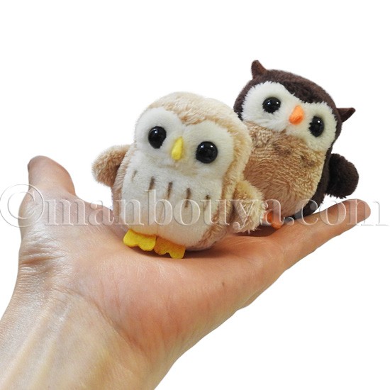 やちゅやちゅ　フクロウセット　マスコット 鳥 ぬいぐるみ フクロウ 雑貨 キュート販売 CUTE マグネット入り