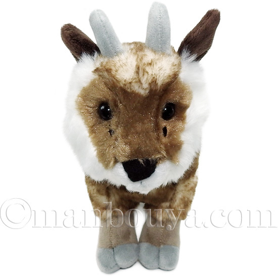 CUTE キュート販売 ぬいぐるみ ニホンカモシカ N0150