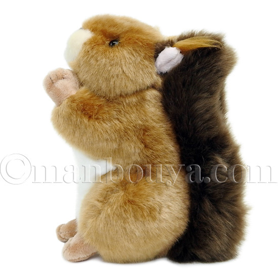 リス ぬいぐるみ 動物 キュート販売 CUTE 日本リス S 17cm