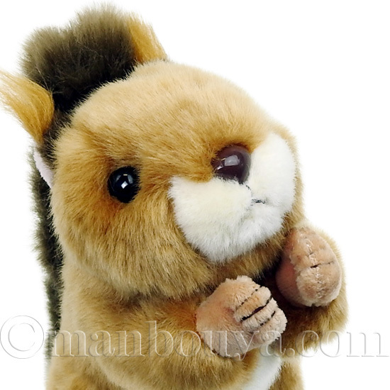 kabaya かわいい動物ぬいぐるみ♡賑やか6匹　まとめ売り　犬　リス　うさぎ Kabaya りす ぬいぐるみ 4体セットの通販 by ( * ॑꒳ ॑*)｜ラクマ