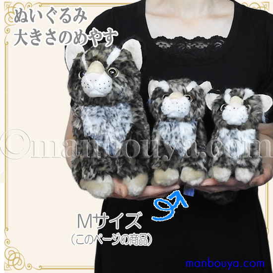 イリオモテヤマネコ ぬいぐるみ 服 セット 動物 人形 キュート