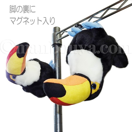 動物園 鳥 ぬいぐるみ オオハシ キュート販売 CUTE safari 動物園 鳥 ぬいぐるみ オオハシ キュート販売 CUTE safari