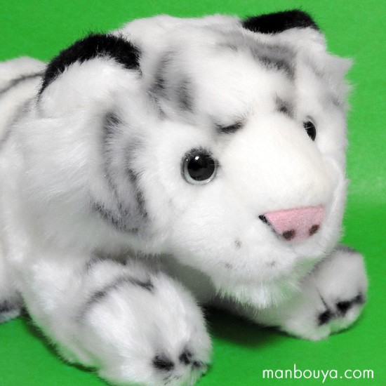 動物園 ぬいぐるみ ホワイトタイガー キュート販売 CUTE safari