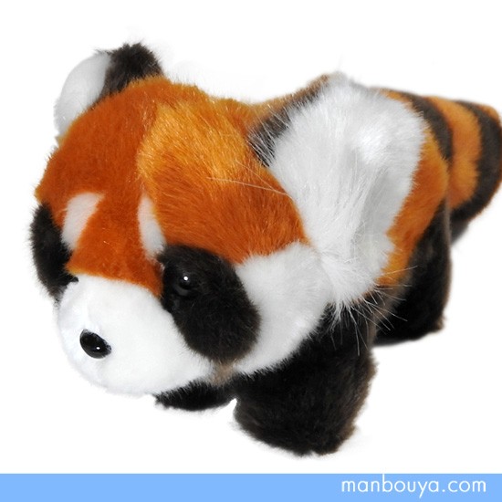 動物園 ぬいぐるみ レッサーパンダ キュート販売 CUTE safari