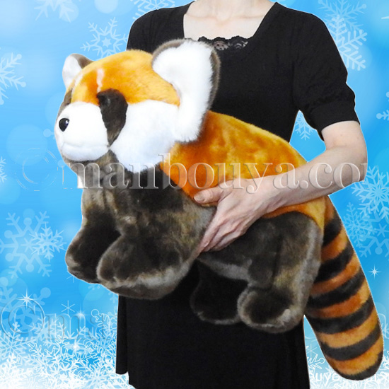 レッサーパンダ ぬいぐるみ 大きい 動物園 CUTE キュート販売 LL
