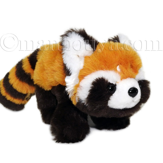 Amazon.co.jp: キュート販売 ぬいぐるみ レッサーパンダ 立ち S