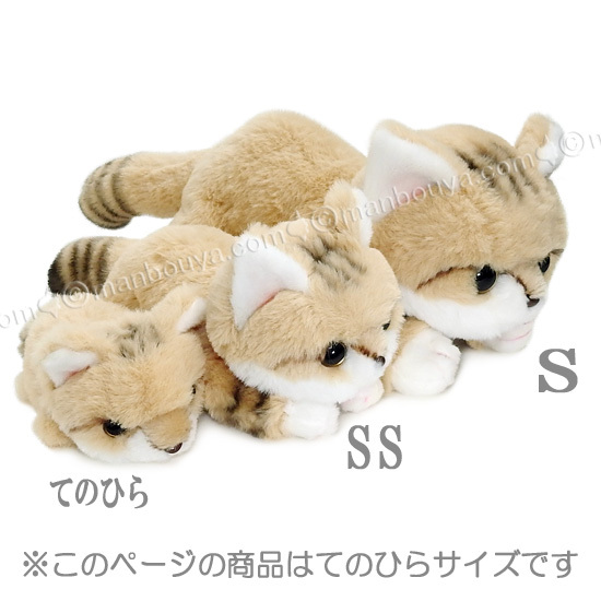 スナネコ 🐾【お知らせ】🐾 スナネコ F3ベビー、おかげさまでお迎え募集枠